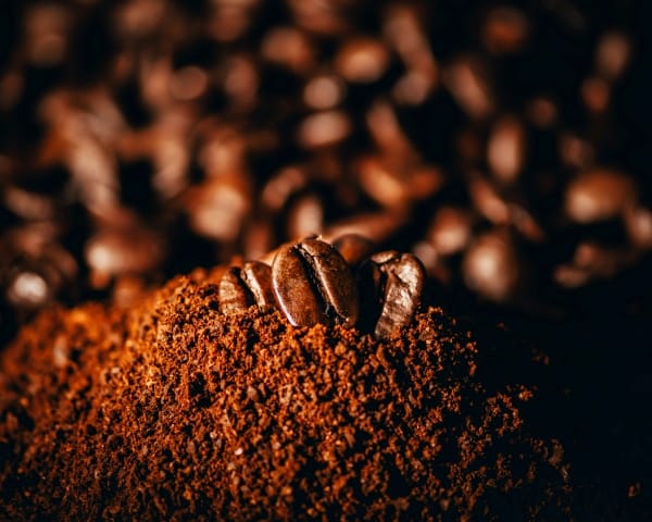 Dia Nacional do Café: Como essa Paixão Impulsiona Empresas e Novos NegóciosDia Nacional do Café: Como essa Paixão Impulsiona Empresas e Novos Negócios